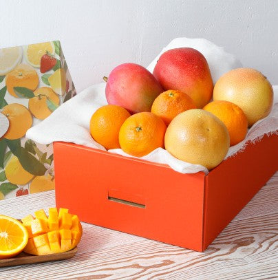 シトラス ８個セット シトラスチップス ミックス 50g 無添加 ドライフルーツ げんき本舗