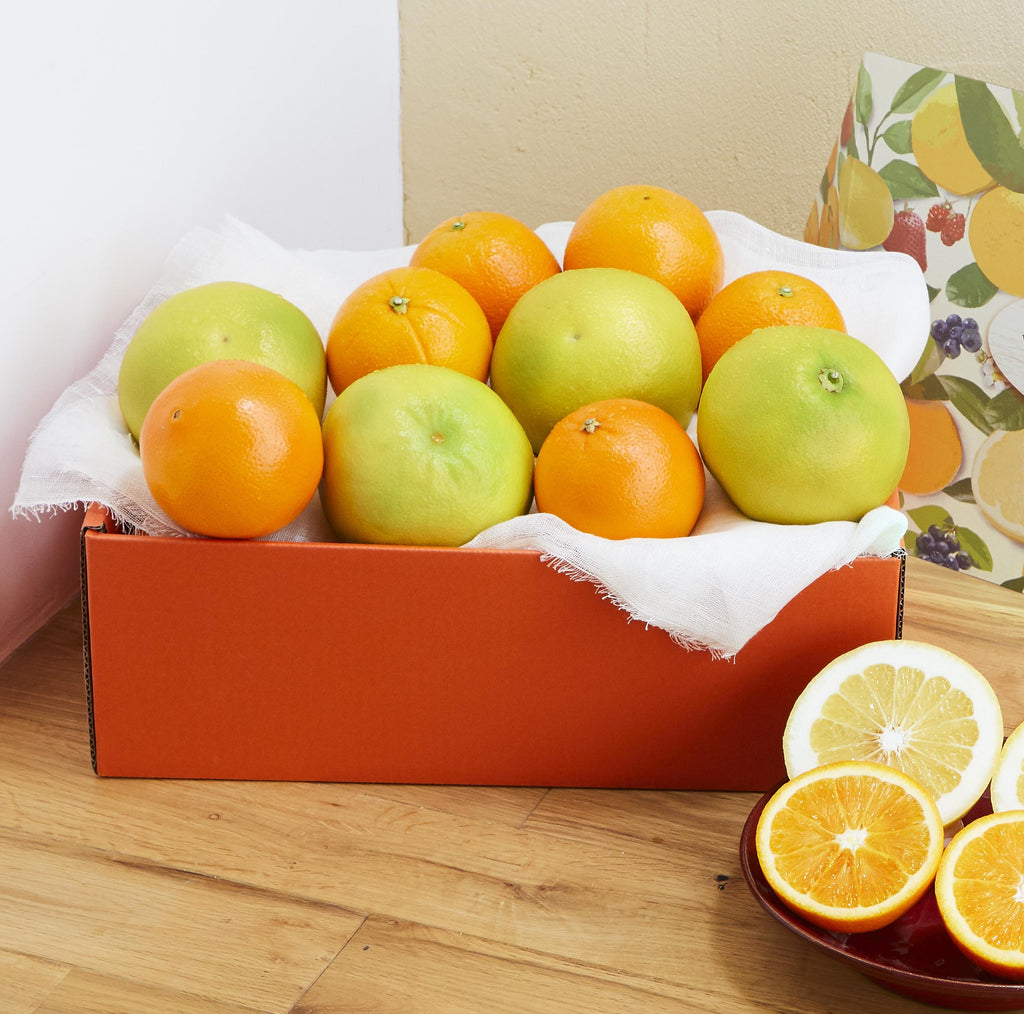 NXギフト – NX GIFT