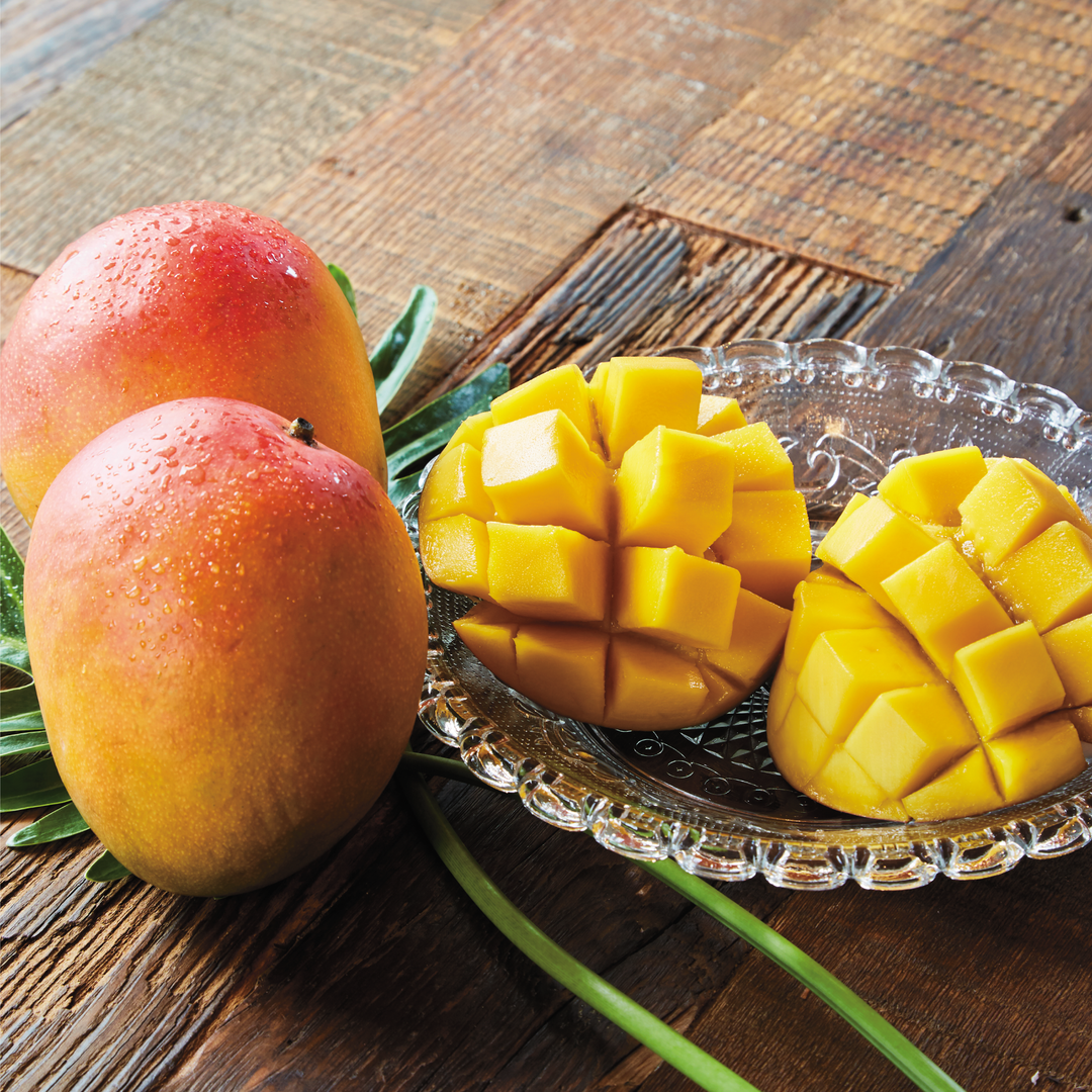 JPマンゴー – NX GIFT